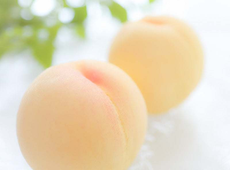 【桃3種 食べ比べ】 黄桃・清水白桃・白桃 化粧箱入